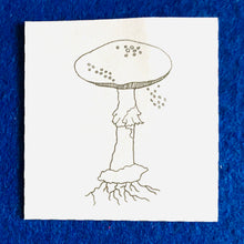 Load image into Gallery viewer, Mushroom Anatomy | Mushroom printable | Homeschool | Home Education | Learning | Montessori
