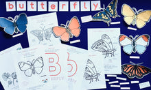 Load image into Gallery viewer, Butterflies Anatomy | Homeschooling Activities | Insect Study | Montessori | Waldorf | Nature Learning Resource

