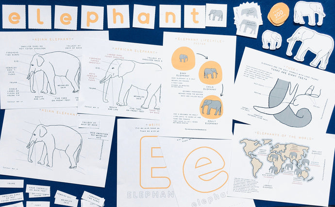 Elephant home education learning resource