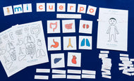 Spanish English | Inside My Body Anatomy | Homeschool | Montessori Learning resource