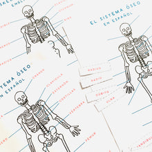 Load image into Gallery viewer, Spanish and English Skeletal anatomy Home education learning resource printable | Homeschool education
