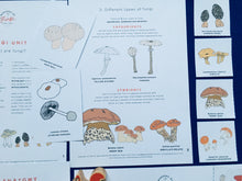 Load image into Gallery viewer, Mushrooms | Wonders of Fungi study unit
