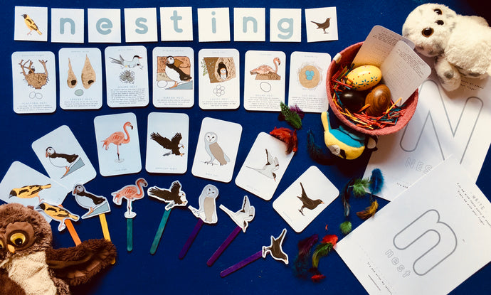 Nesting birds | bird unit | Montessori learning