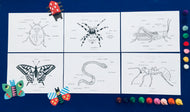 Minibeasts colour in bundle | Insects ladybird worm spider grasshopper butterfly ant