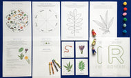 Imbolc | Spring | Wheel of the year Home education