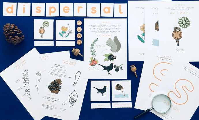Seed Dispersal learning resource
