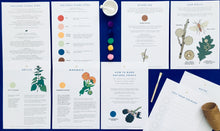 Load image into Gallery viewer, Galls and Plant Dyes study unit | Home education printable
