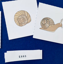 Load image into Gallery viewer, Snails and Fibonacci Home education learning resource
