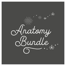 Load image into Gallery viewer, Anatomy bundle
