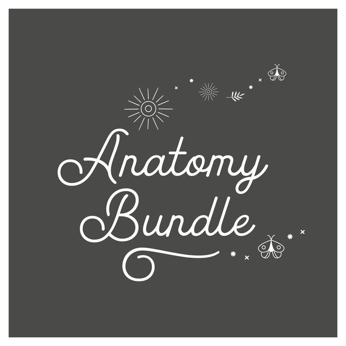 Anatomy bundle