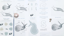 Load image into Gallery viewer, Slugs vs Snails study unit | Home education printable
