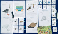 Autumn Pond study unit