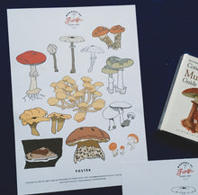 Load image into Gallery viewer, Mushrooms | Wonders of Fungi study unit
