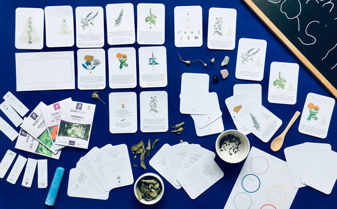 Connect with herbs and chakras for children mindfulness unit