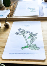 Load image into Gallery viewer, Herb and Folklore January Chickweed
