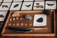 Spanish and English Nature flashcards | Homeschool | Montessori Home education