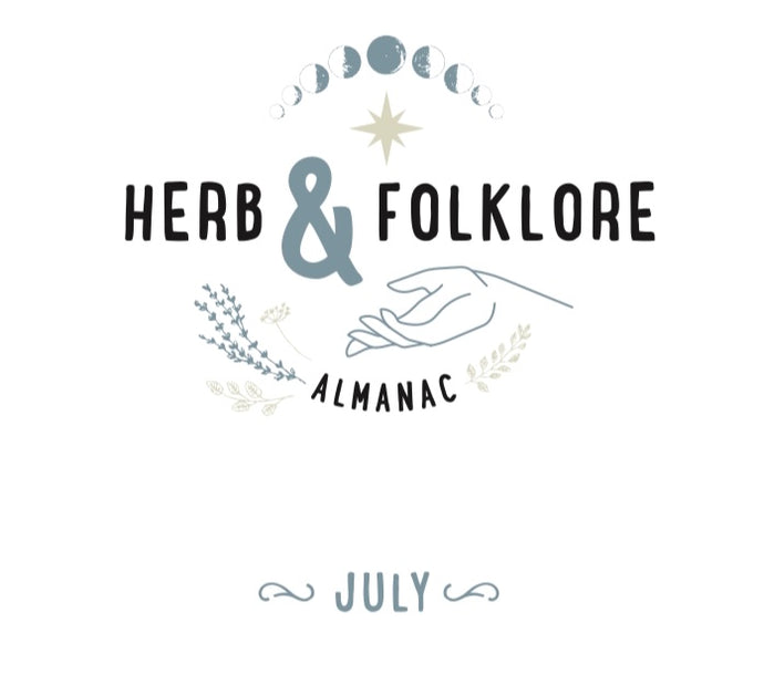 Herb and Folklore July Meadowsweet