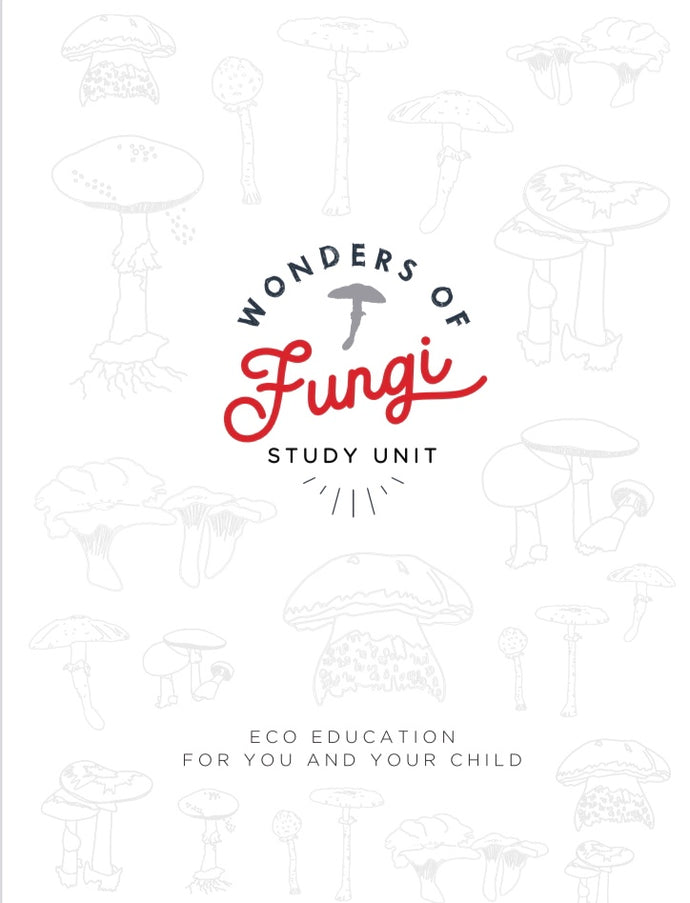 Mushrooms | Wonders of Fungi study unit