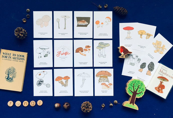 Mushrooms | Wonders of Fungi Matching Game