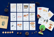 Mushrooms | Wonders of Fungi Matching Game
