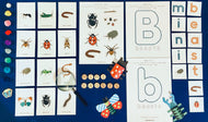Minibeast hunt learning resource
